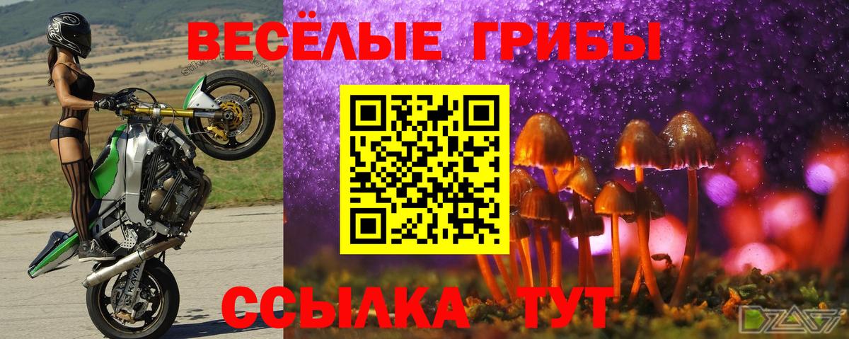 Галлюциногенные грибы Magic Shrooms  Вход с VPN  Астрахань 