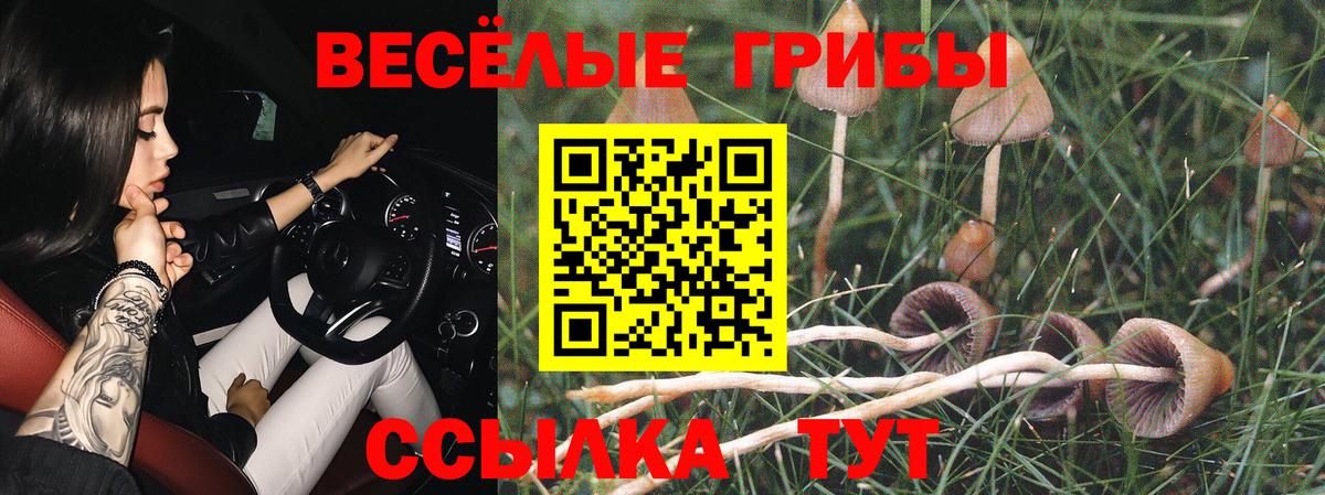 Псилоцибиновые грибы прущие грибы Астрахань